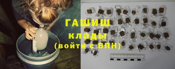 дмт Богданович