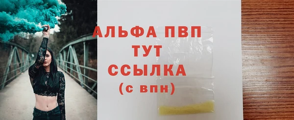 дмт Богданович