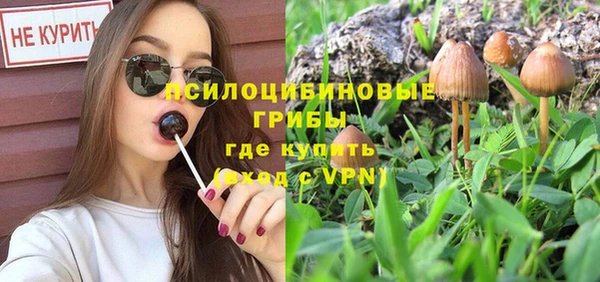 синтетический гашиш Богородск