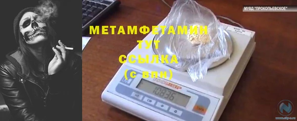 ALPHA PVP Богородицк