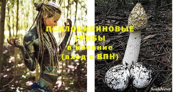 синтетический гашиш Богородск