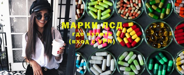 дмт Богданович