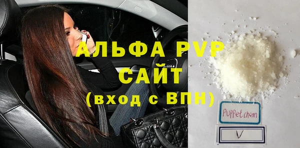 дмт Богданович