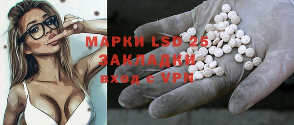 дмт Богданович