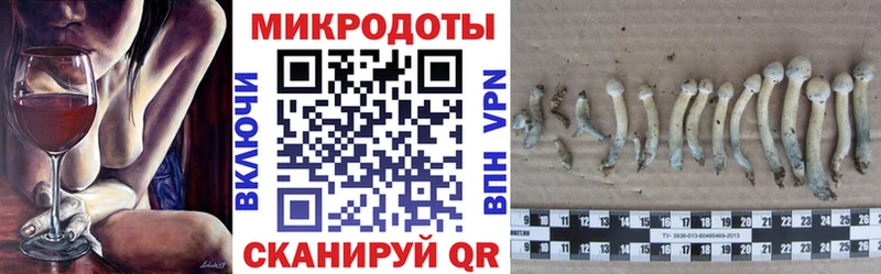 Галлюциногенные грибы Cubensis  Санкт-Петербург 
